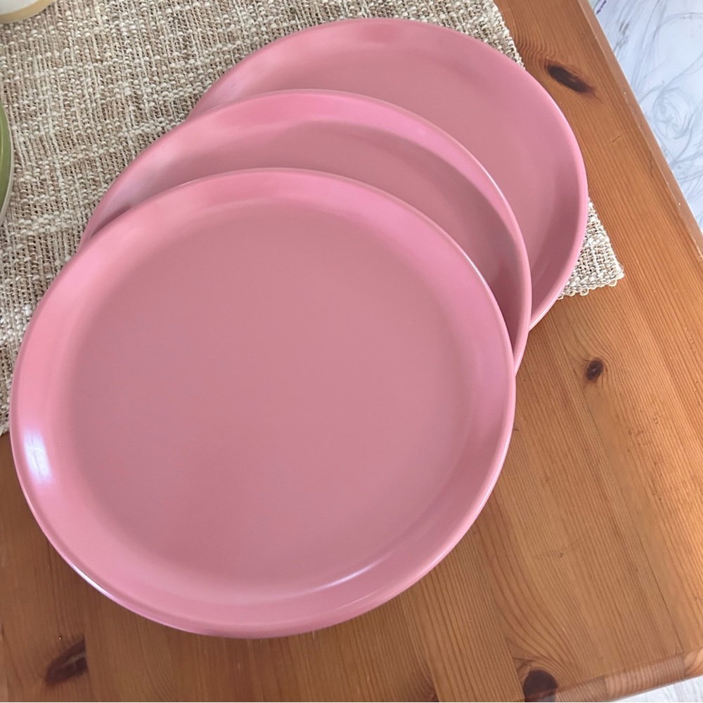 Rubbermaid Dinner Plates